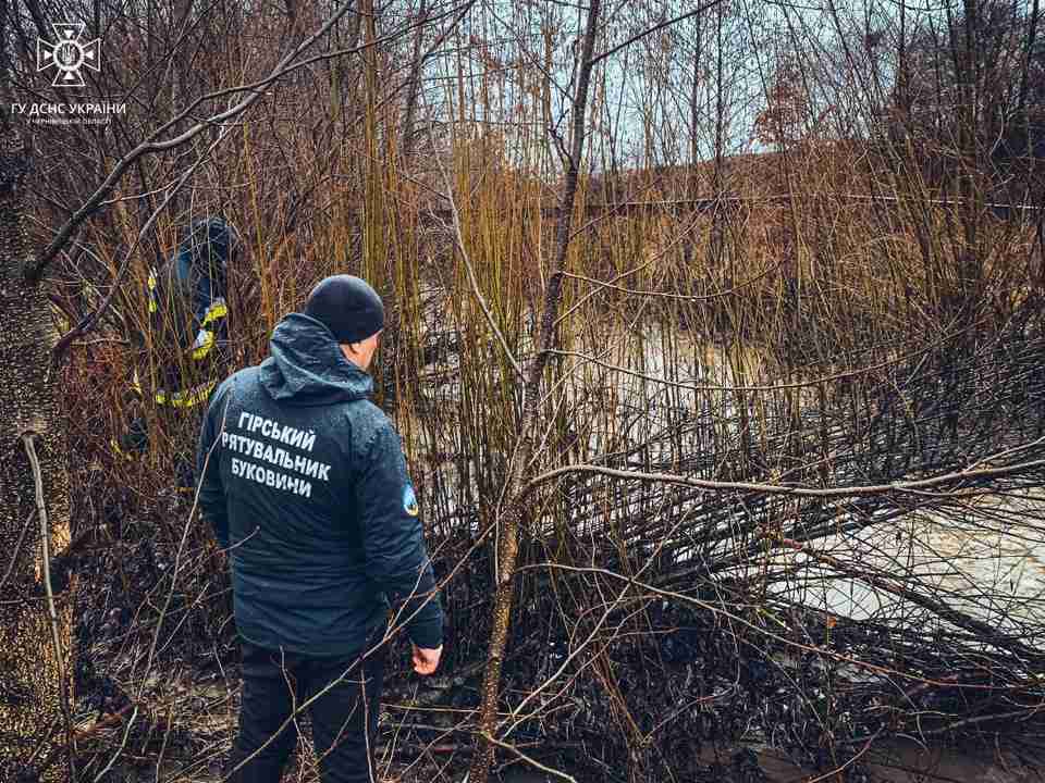 У Чернівецькій області двоє дітей повертаючись зі школи впали з містка у річку, пошуки 8-річної дівчинки тривають (ФОТО)