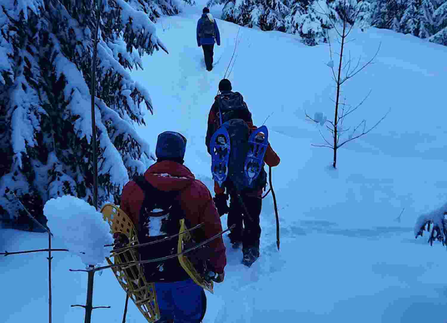 У горах рятувальники розшукують 40-річного київського лижника, який не виходить на зв’язок вже чотири доби (фото)