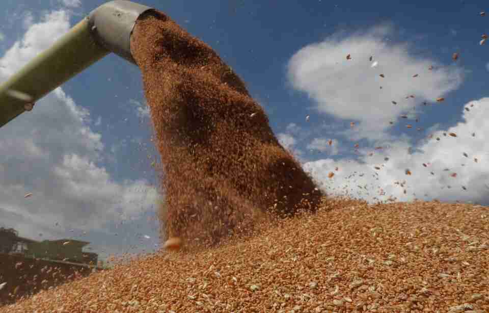 У Єврокомісії заперечили, що ініціюють продовження «зернової заборони» для України