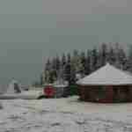У Карпатах випав сніг (фото)