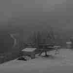 У Карпатах випав сніг (фото)