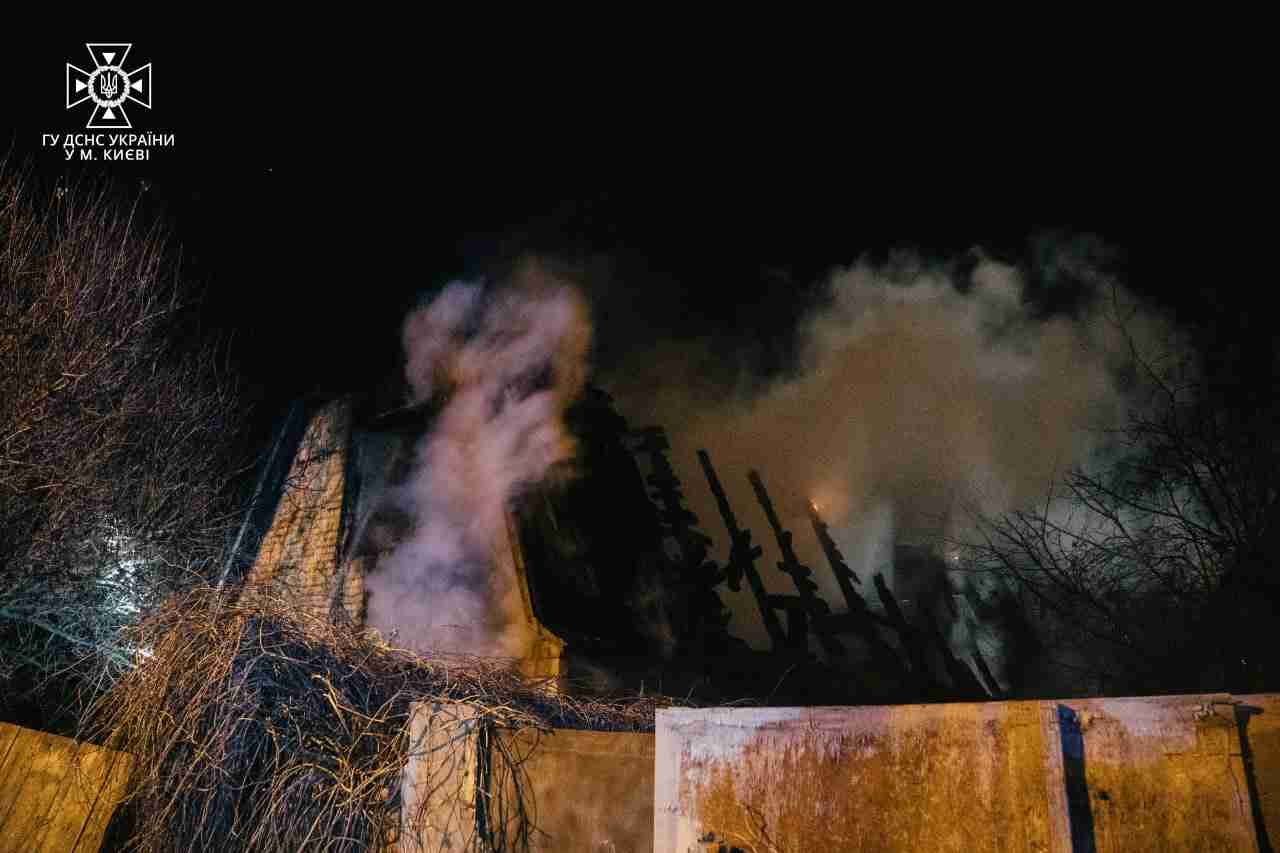 У Києві під час пожежі в будинку врятовано цуценя та кошеня (ФОТО)