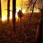 У Львівській області рятувальники ліквідували лісову пожежу (фото)