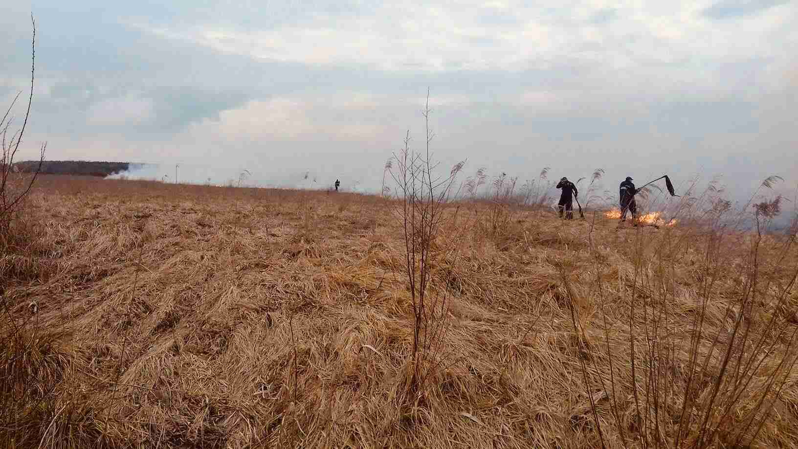У Львівській області за добу тричі горіла суха трава