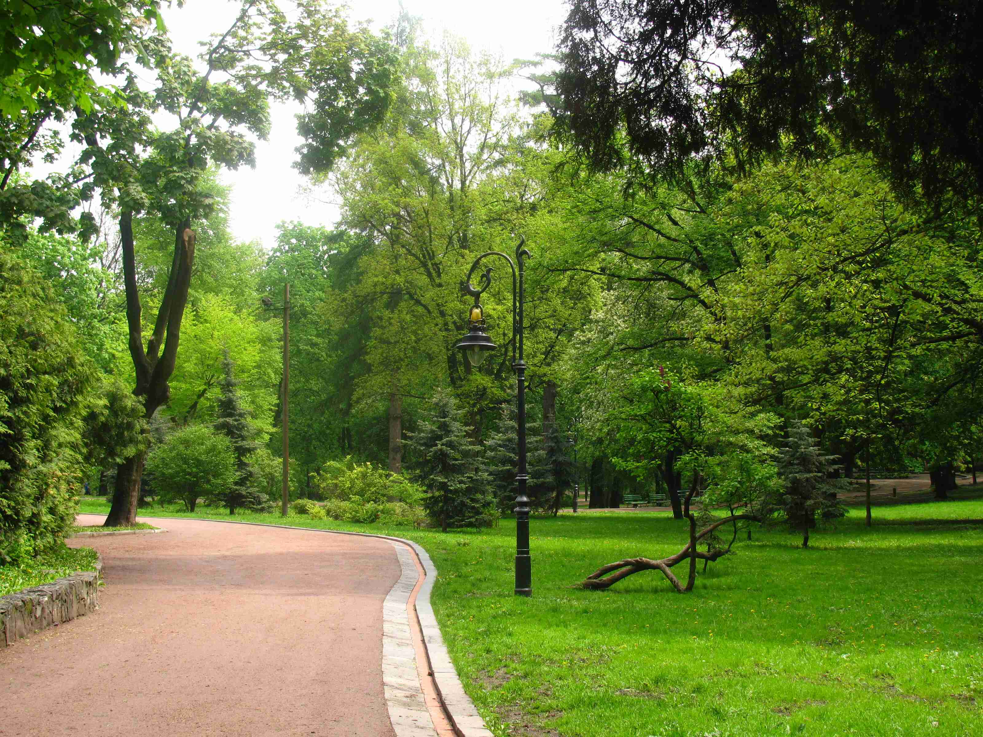 У львівському парку встановлять дерев'яний інклюзивний туалет (ФОТО)