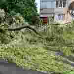 У Львові через негоду повалило дерева і обірвало лінії електропередач, містян просять залишатися вдома (фото, відео)