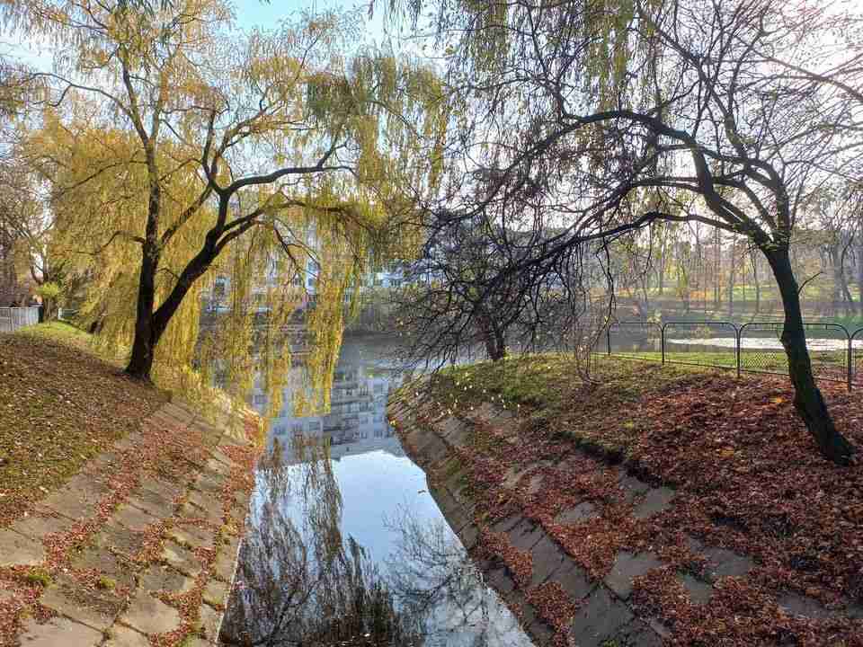 У Львові до кінця року планують очистити 7 озер