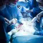 У Львові лікарі провели складну операцію по видаленню велетенської пухлини (фото)