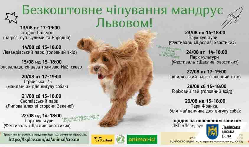 У Львові ЛКП «Лев» відновлює безкоштовне чіпування собак у районах: графік