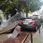 У Львові негодою пошкоджено майже два десятки автівок: наслідки (відео, фото)