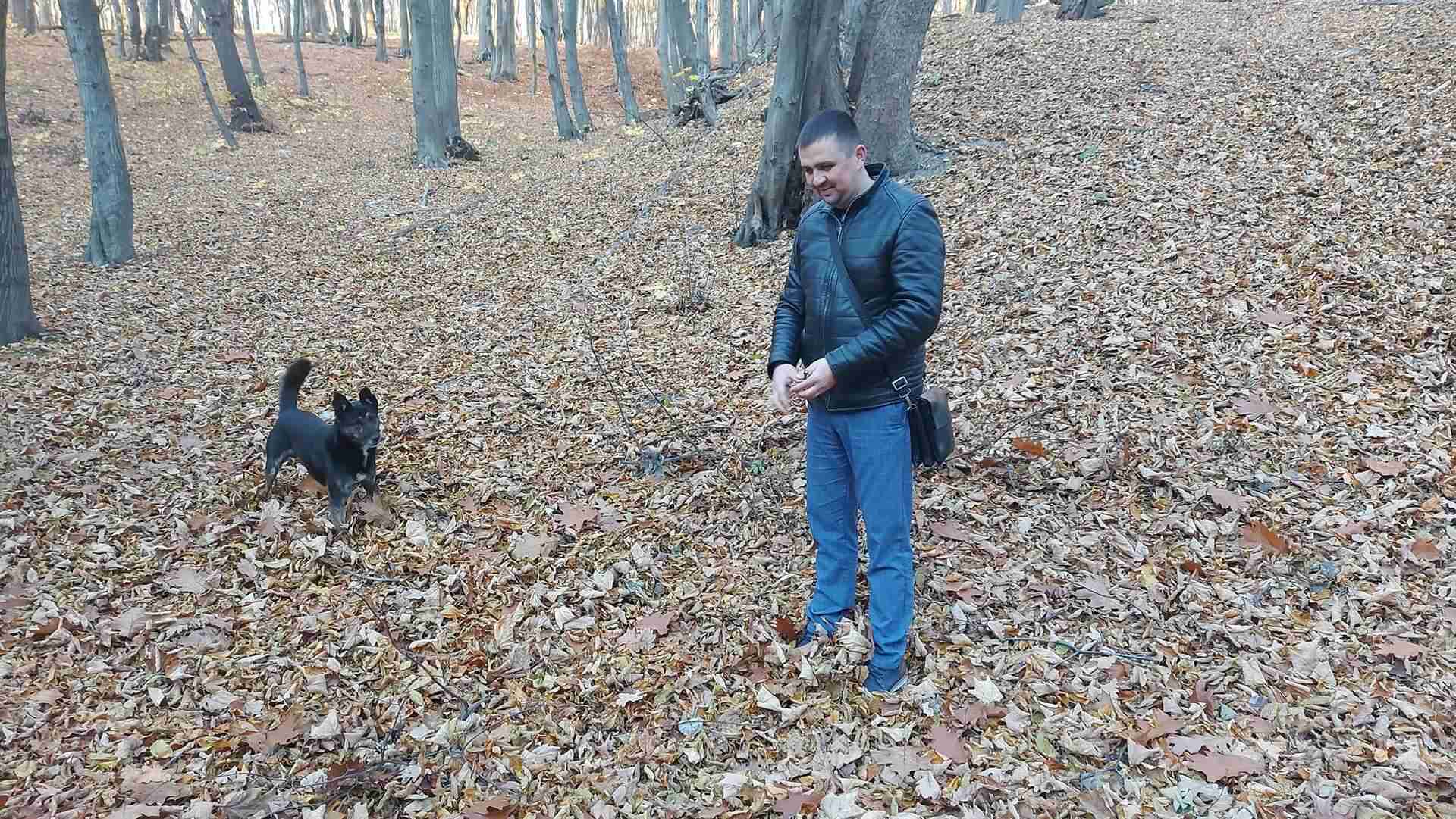 У Львові невідомі масово труять собак (ФОТО, ВІДЕО)