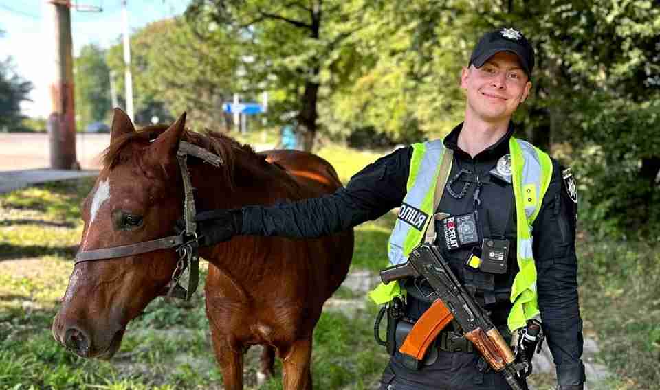 У Львові патрульні повернули власнику коня, який бігав трасою