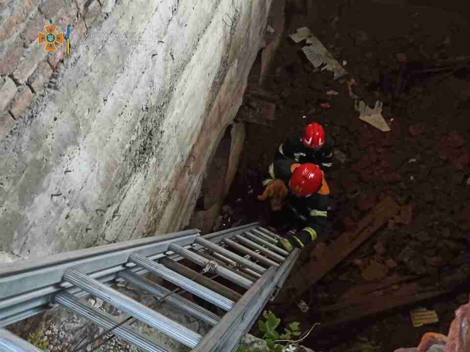 У Львові рятувальники допомогли песику, який потрапив у халепу (ФОТО)