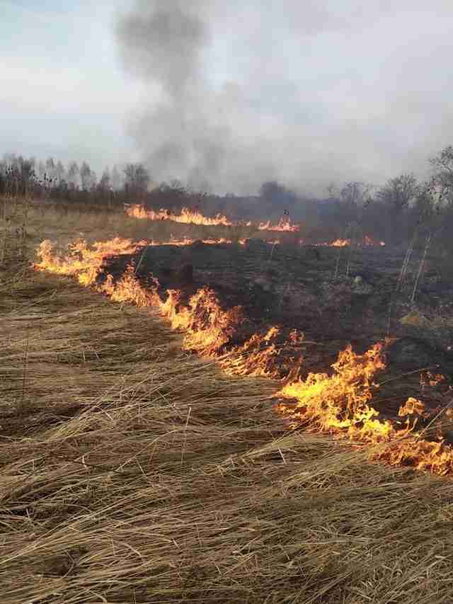 У Львові рятувальники ліквідовують пожежі сухостою