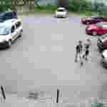 У Львові шукають підлітків, які понищили припарковані автомоблілі (фото, відео)
