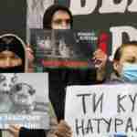 У Львові та Києві влаштували акції до Всесвітнього дня без хутра (фото, відео)