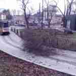 У Львові трамвай тимчасово змінив рух через падіння дерева (фото)