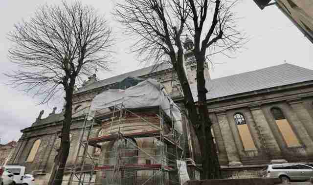 У Львові у Бернардинському дворику зріжуть дерева віком приблизно 80 років (ФОТО)