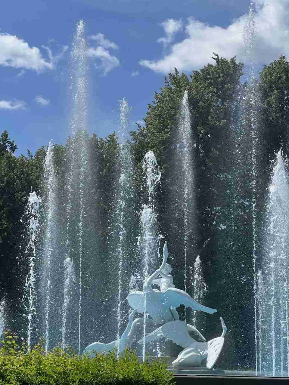 У Львові відновив роботу фонтан, який пошкодили відпочивальники намагаючись вилізти на скульптури лебедів (ФОТО)