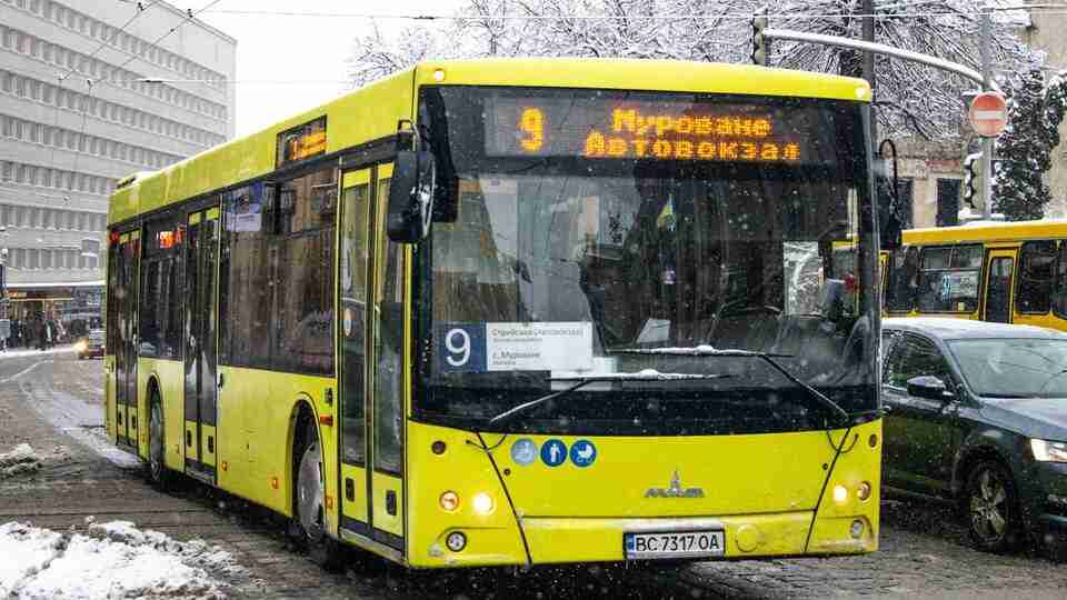 У Львові встановлять одинакову вартість проїзду в електротранспорті та маршрутках: є нюанс