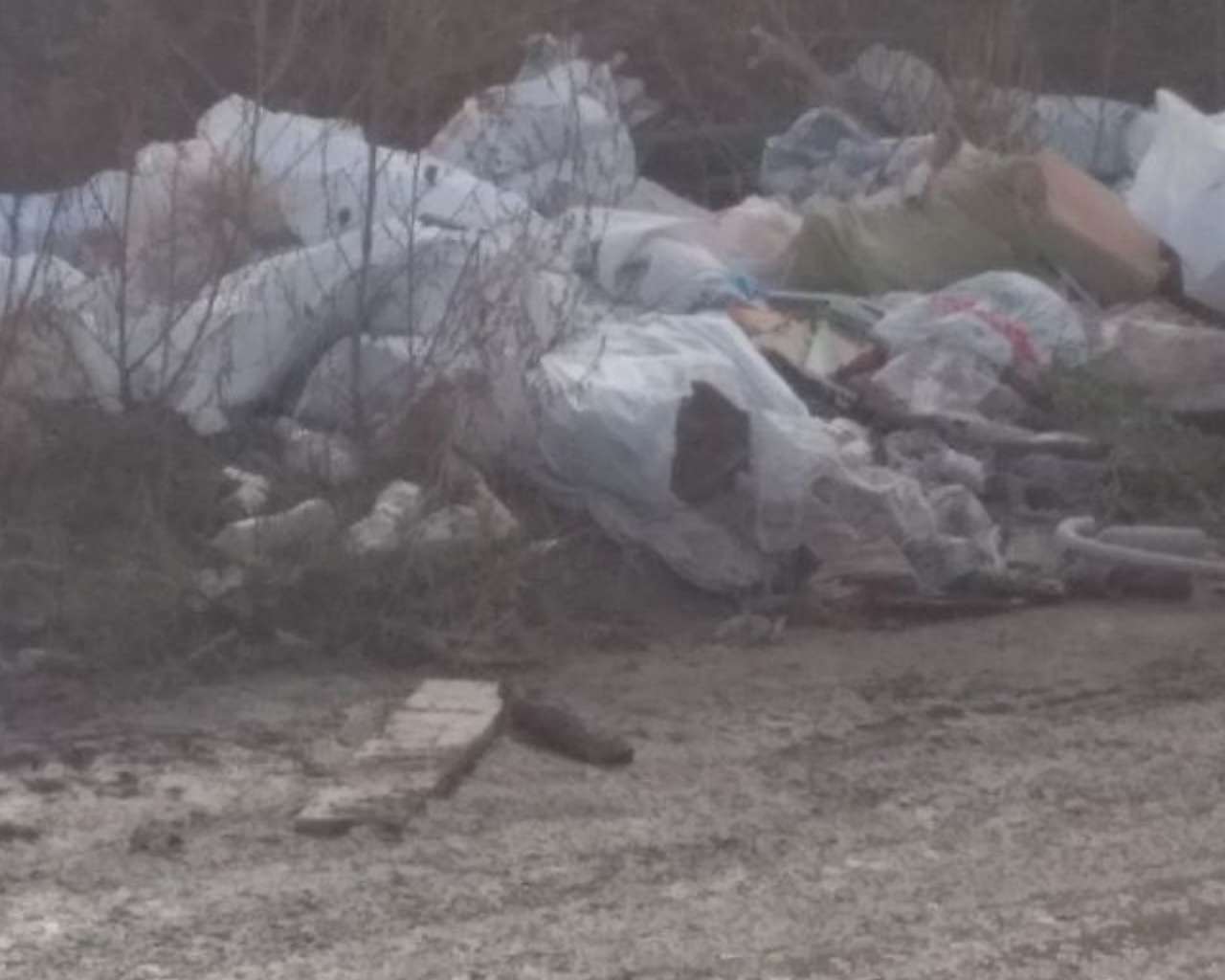 У Львові виявили два стихійні сміттєзвалища (фото)