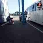 У Раві-Руській пасажирів тримають 14 годин на кордоні через знайдені наркотики (фото)