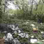У Солонці виявили 30 несанкціонованих сміттєзвалищ (ФОТО)
