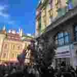 У центрі Львова встановили Дідуха (фото, відео)