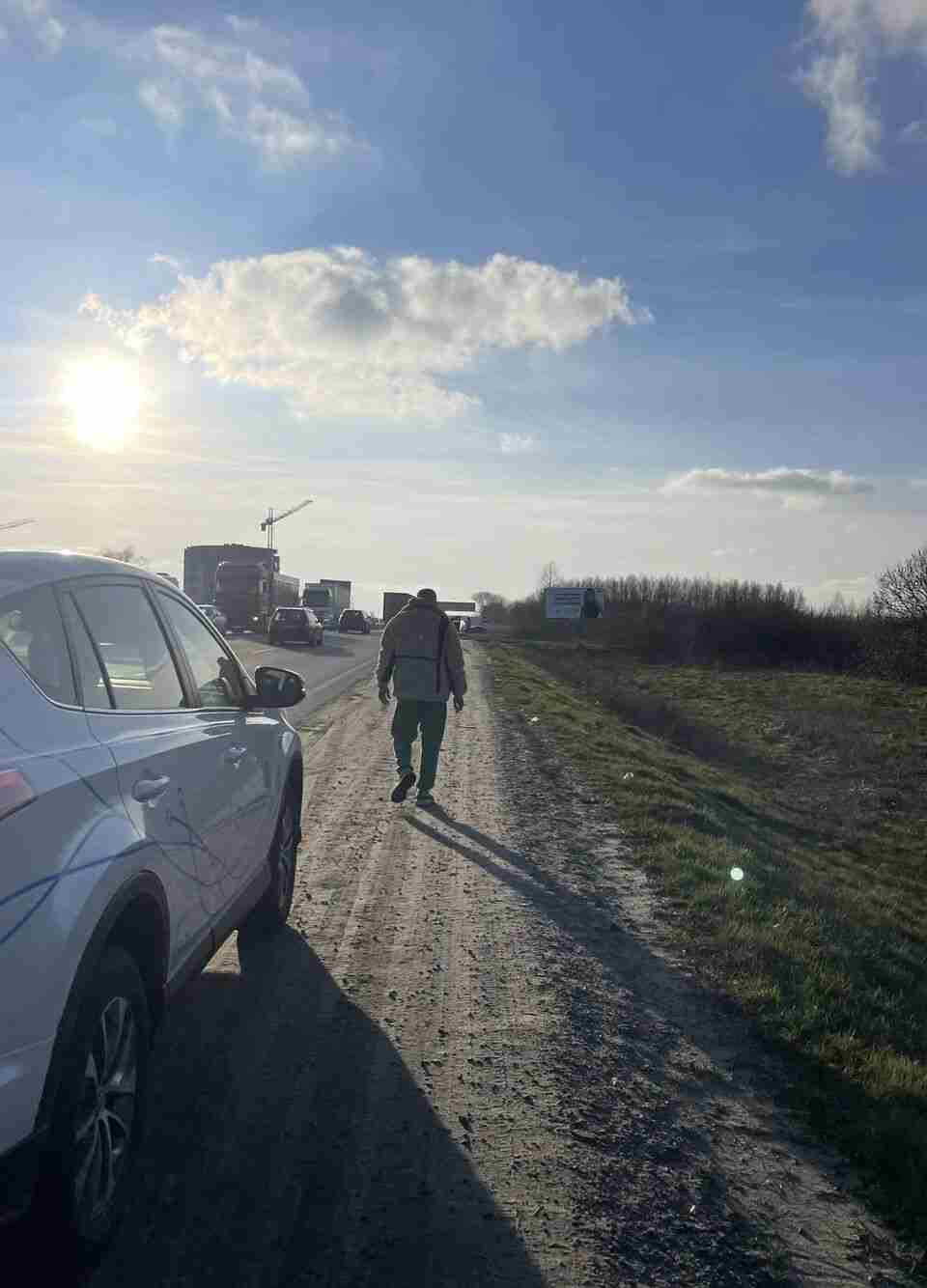 У водія не було часу допомогти: на трасі біля Львова збили козулю (ФОТО)