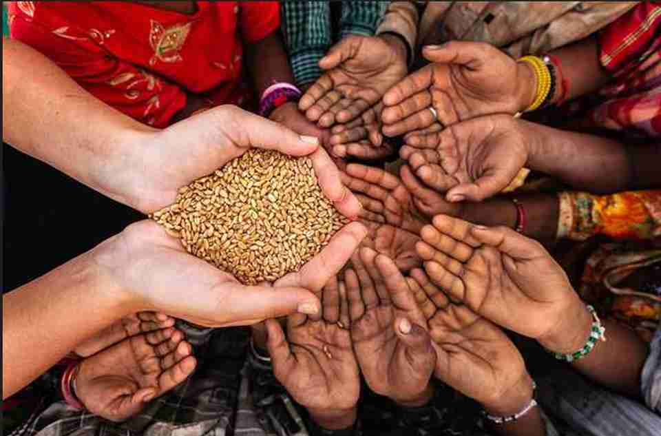 Україна безкоштовно віддасть десятки тисяч тонн зерна голодуючим країнам Африки