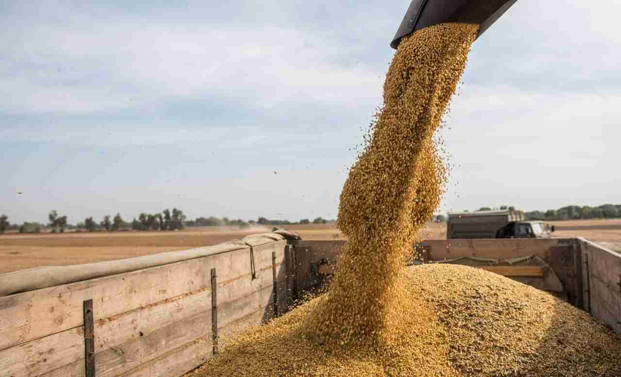 Україна запроваджує новий механізм експорту зерна