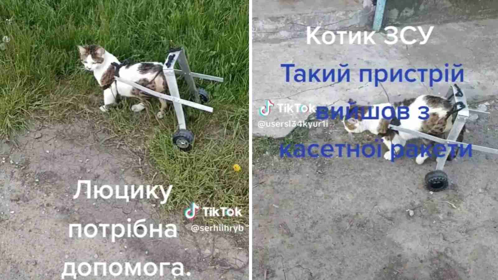 Українські захисники сконструювали візок з російської бомби котику у якого відмовили лапки(ВІДЕО)