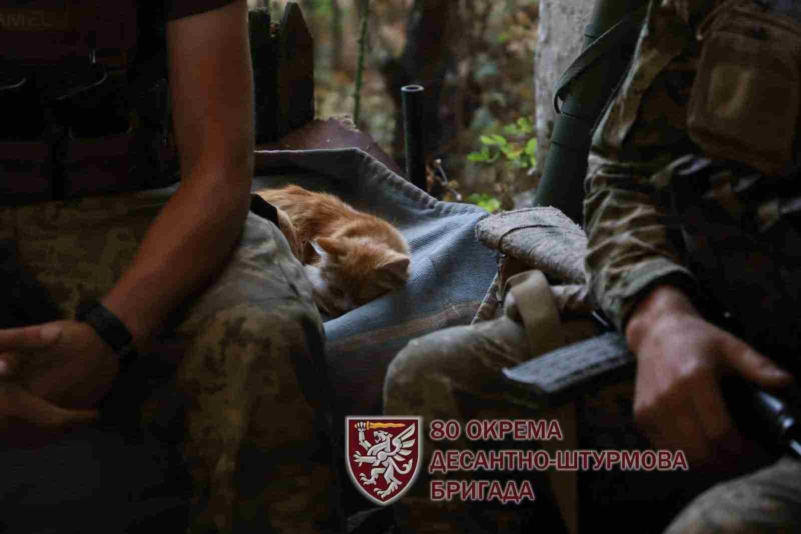 «Упевнене та методичне звільнення»: львівські десантники розповіли про бої на фронті (ФОТО)