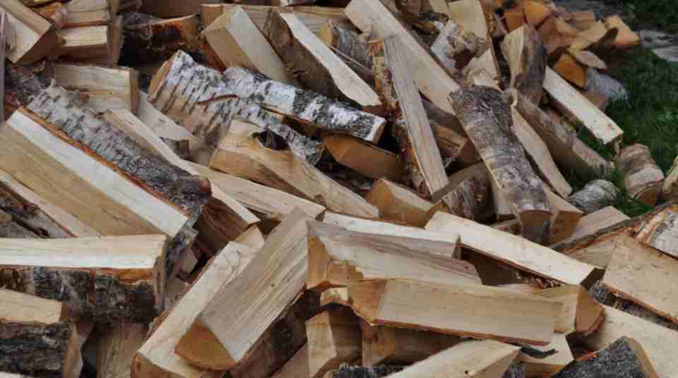 Уряд додатково забезпечить українців дровами для опалювального сезону: кому призначена субсидія