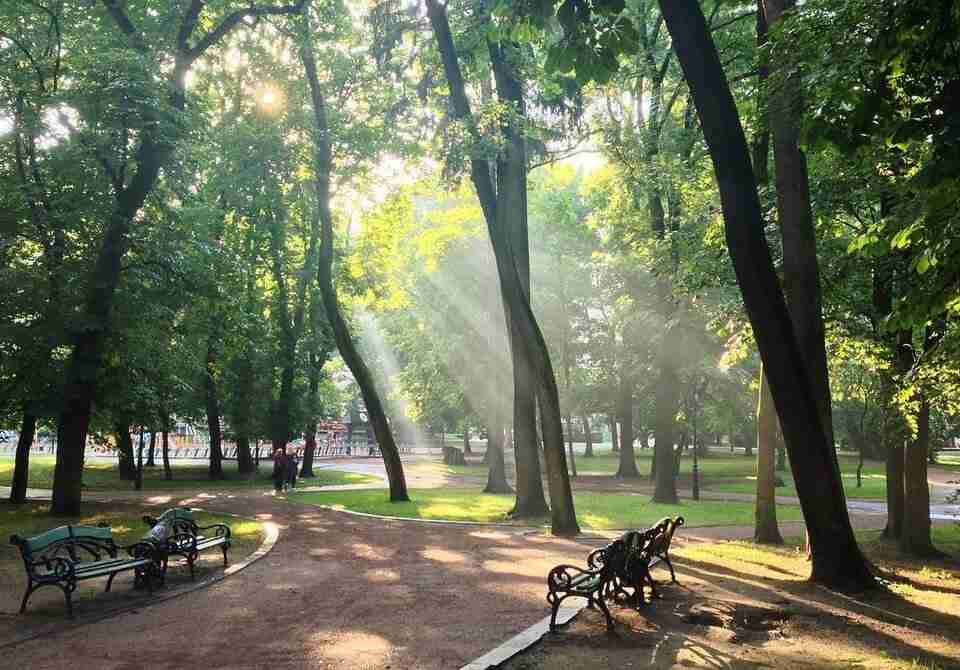 Увага! Львів'ян просять тимчасово утриматися від прогулянок парками з дітьми та тваринами