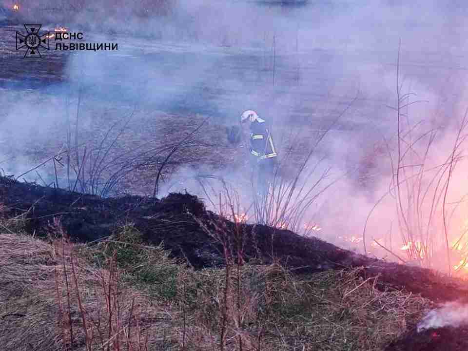 Увага! На Львівщині побільшало пожеж сухостою, рятувальники б'ють на сполох (ФОТО)
