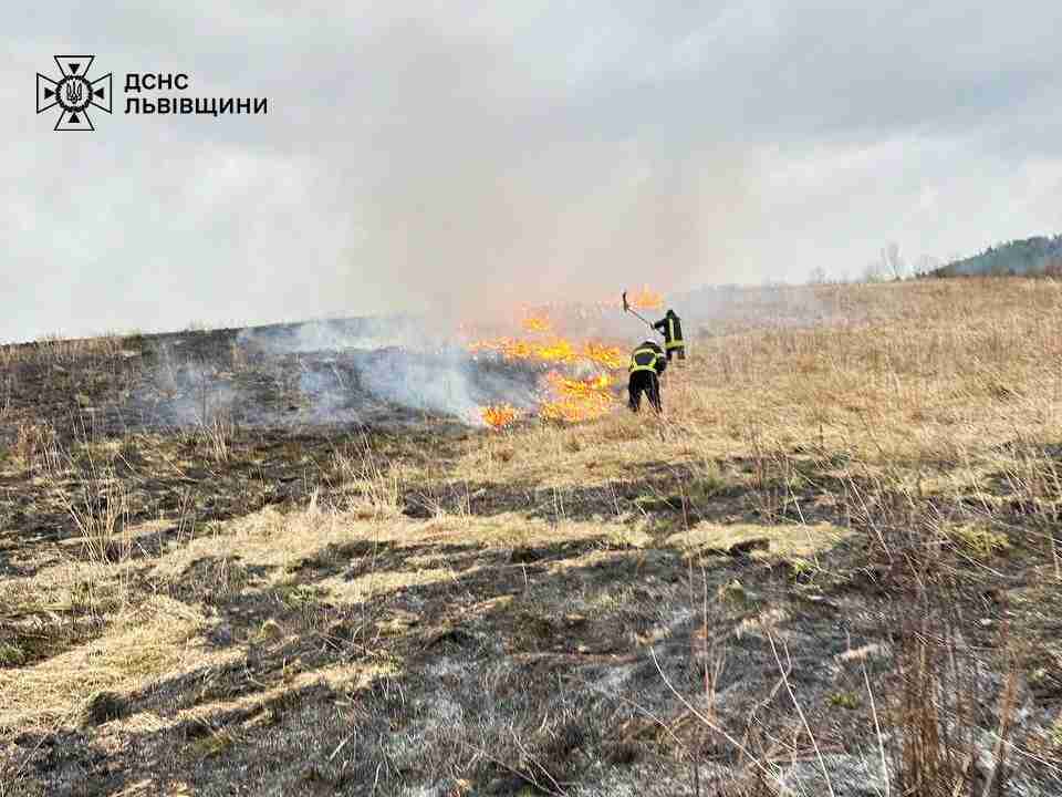 Увага! На Львівщині побільшало пожеж сухостою, рятувальники б'ють на сполох (ФОТО)