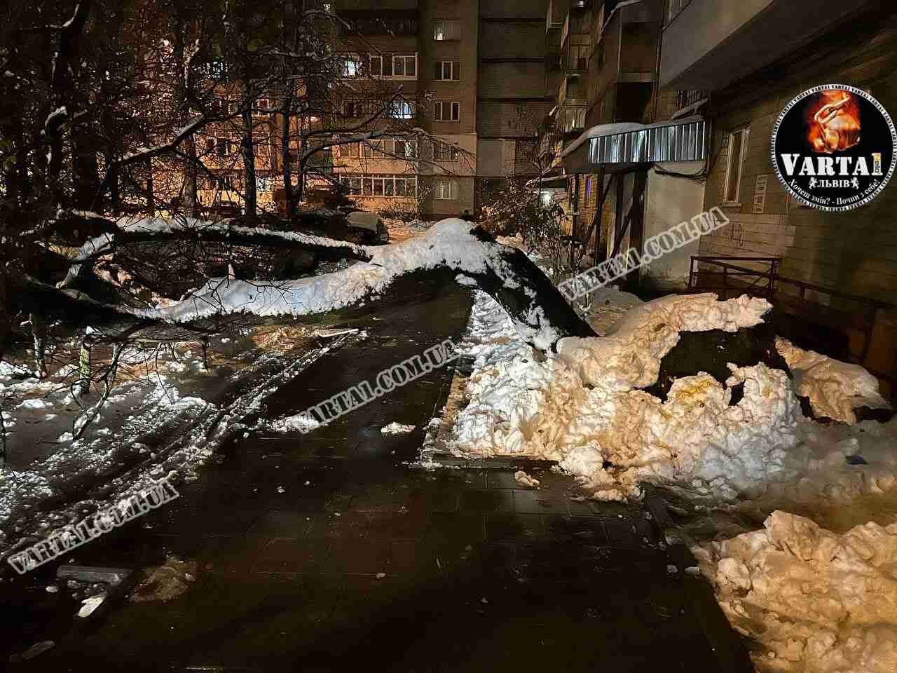 Увага! У Львові через негоду падають дерева (ФОТО)