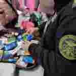 В аеропорту «Львів» митники вилучили понад 1500 таблеток прекурсорів (фото)