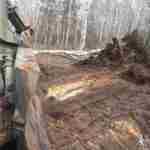 В Чорнобилі та на Житомирщині до ліквідації пожеж залучили військових (відео, фото)
