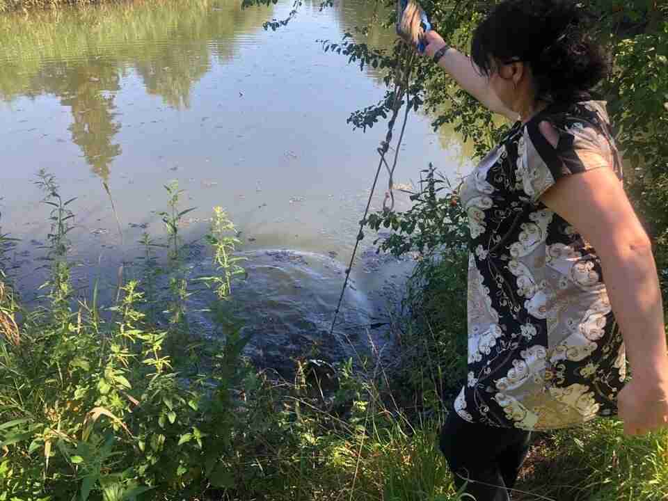В одному з районів Львова в озері виявили нафтопродукти та сміття (ФОТО)