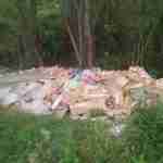У Рясне знайдено стихійне сміттєзвалище з тваринних рештків (фото)