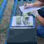 В Україні фальшивомонетники збували 100-доларові банкноти, які успішно проходили перевірку на спецпристроях (ФОТО)