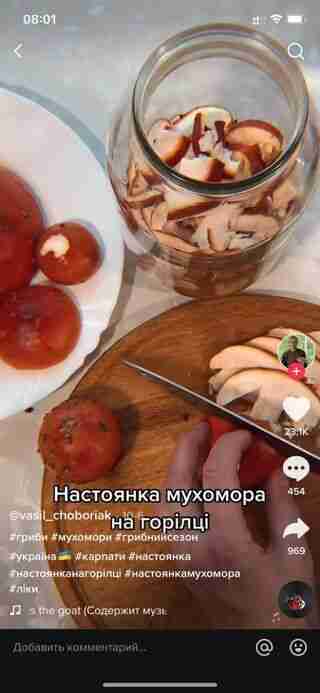 В Україні з'явилась небезпечна пошесть з отруйними грибами: відео в TikTok, для галюцинацій та «лікування» (фото)