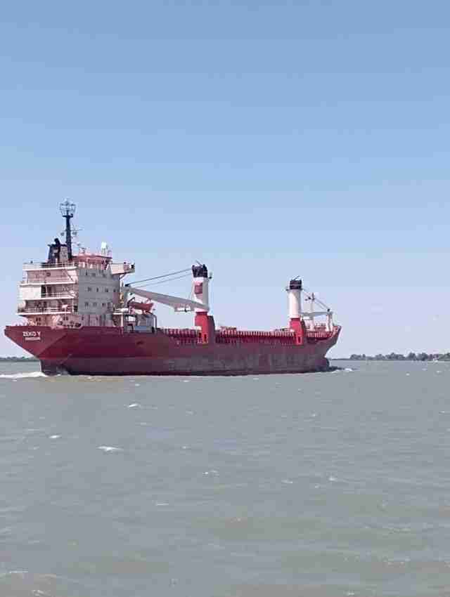 Відновлення експорту українського зерна: 16 іноземних суден зайшли до українських портів за пшеницею