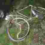 Вів велосипед у руках, періодично змінював напрямок: на Рівненщині сталася смертальна ДТП (фото)