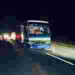 Водій автобусу «Львів-Коломия» насмерть збив пішохода-порушника