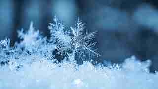 З неділі почнеться похолодання: синопткиня розповіла, коли в Україні очікується сніг
