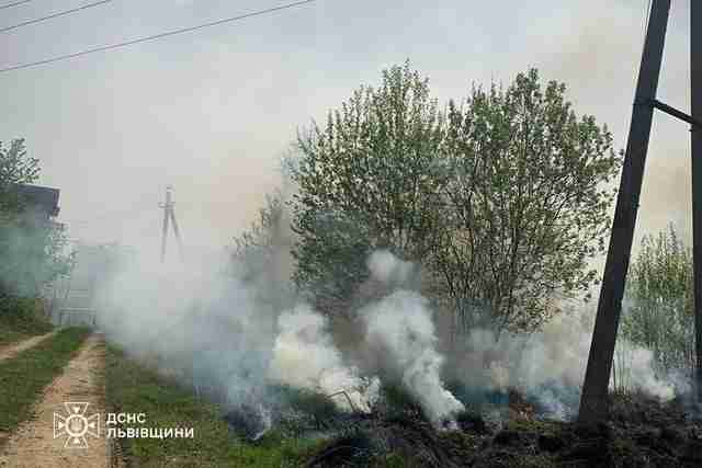 За добу на Львівщині сталося майже 20 пожеж сухої трави