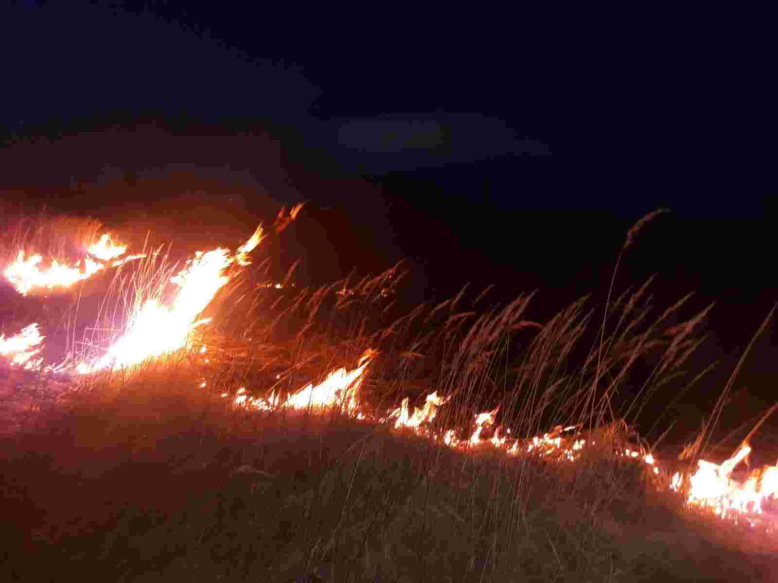 За добу на Львівщині зафіксовано 46 пожеж сухої трави